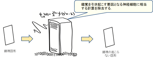 視覚科学