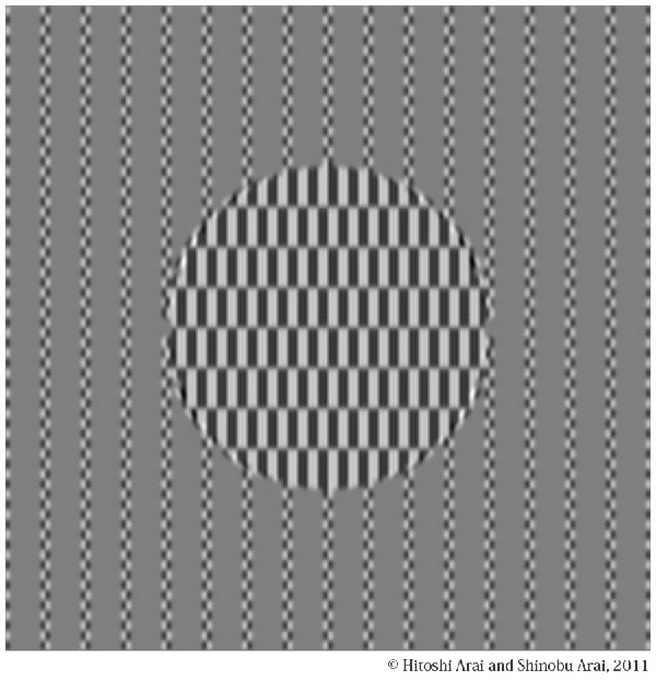 Mathematical Analysis of Ouchi Illusion