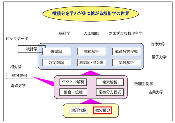 解析学展望